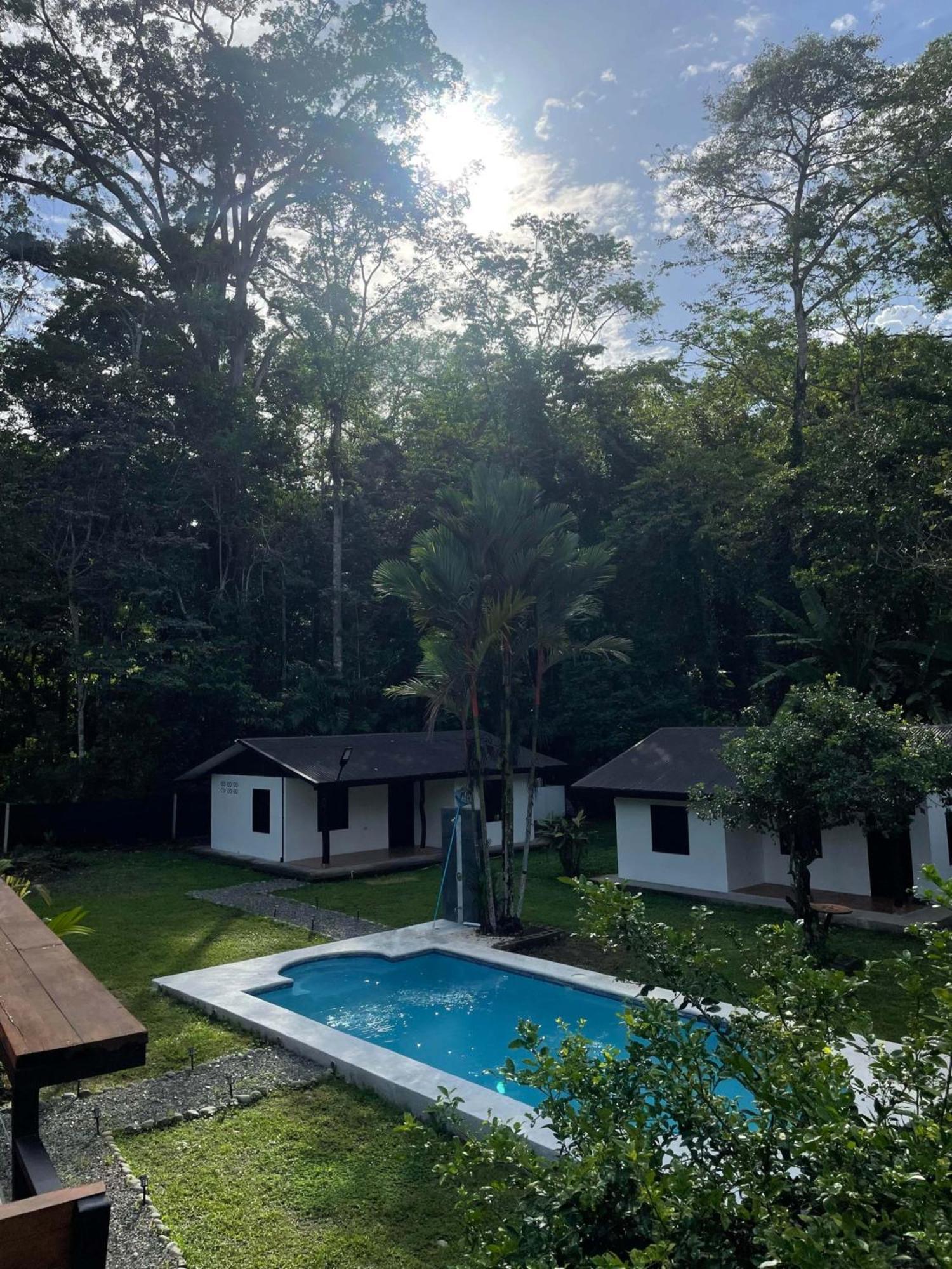 Bungalows Sloth Manzanillo  Exterior foto
